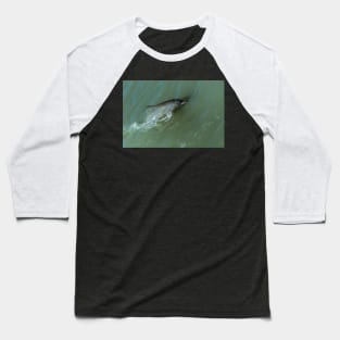 Bottlenose Dolphine Baseball T-Shirt